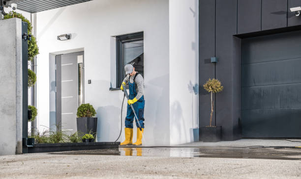 Best Solar Panel Cleaning  in Valinda, CA
